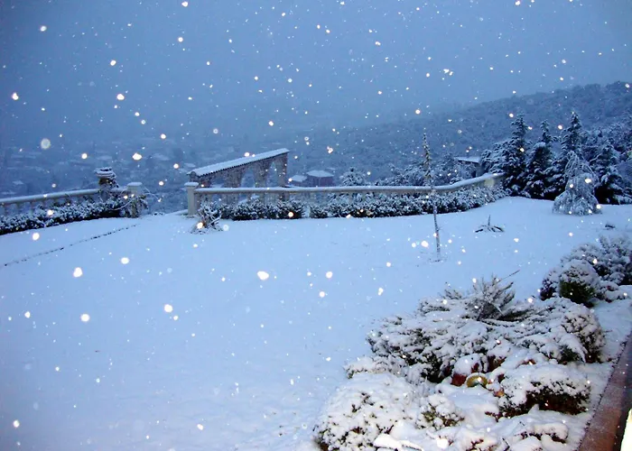 Eva's Luxury Villa *